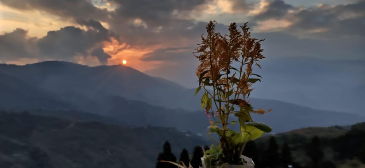 דרג'ילינג Valley View Homestay מראה חיצוני תמונה